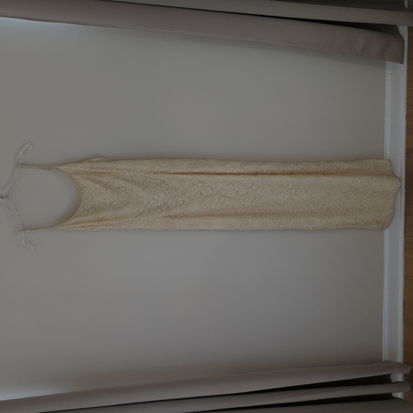 Stenay Cream/Champagne Colored Beaded Long Cocktail Dress - Sz 6 - Picture 6 of 10